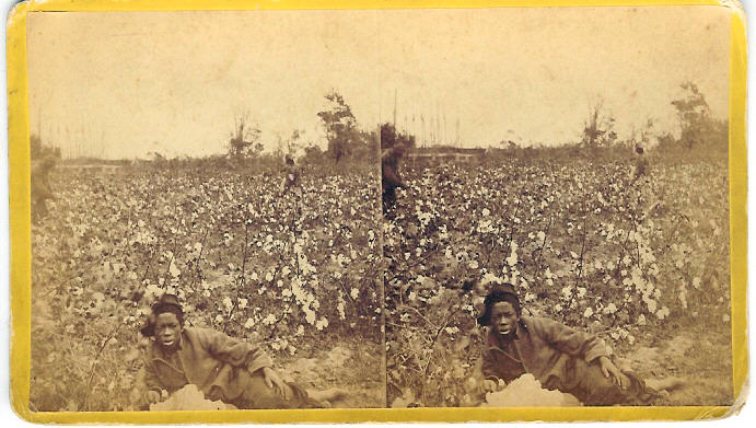 Keystone Stereoview Blacks Picking Cotton in Georgia from 1930’s T400 Set #T24 A 