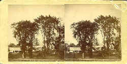 fewacres.jpg (60995 bytes)