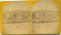 hicow.jpg (26782 bytes)