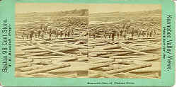 jam.jpg (55753 bytes)
